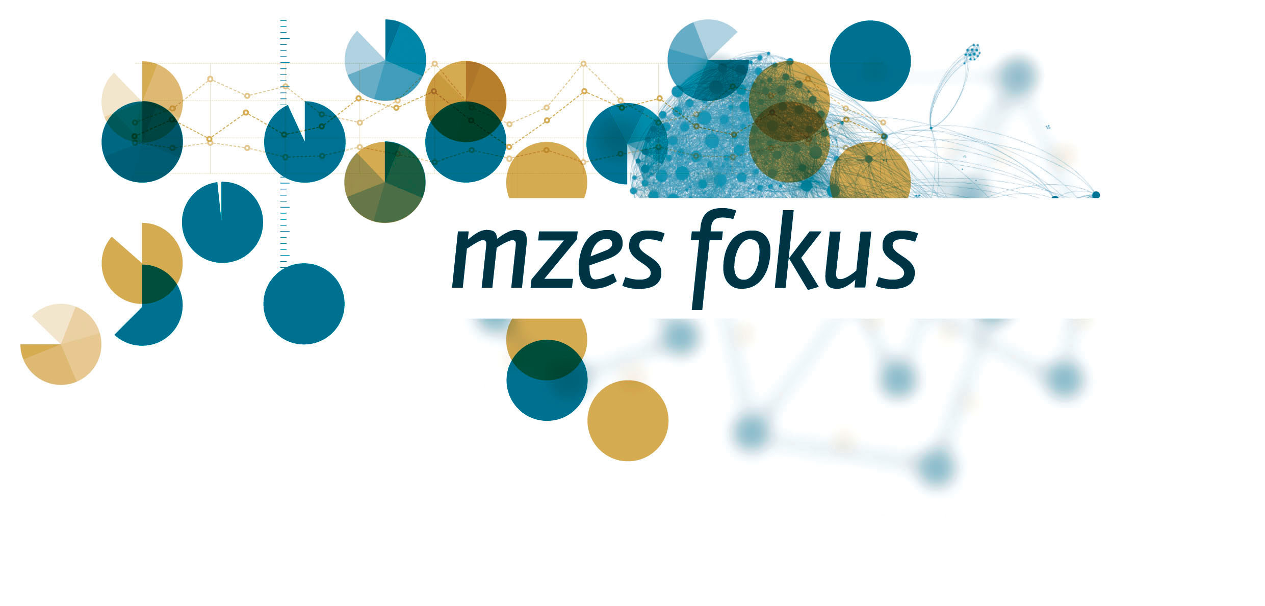 MZES Fokus